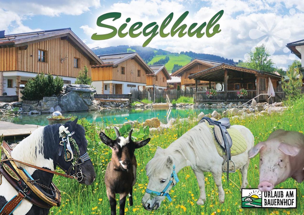 Sieglhub Chalets - Appartements - Hotel Флахау Екстер'єр фото